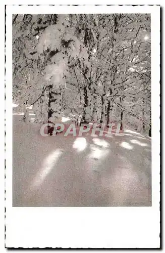 Cartes postales Hiver