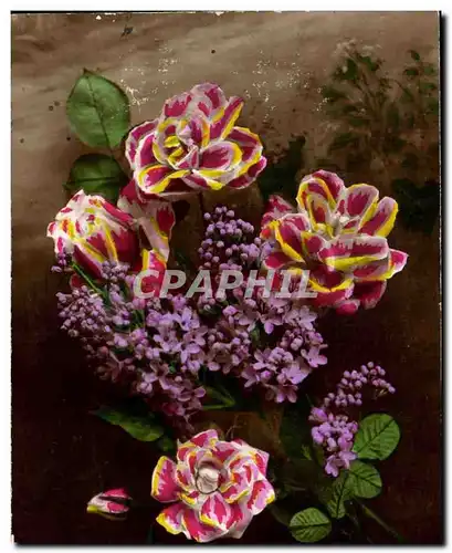 Cartes postales FAntaisie Doux baiser Fleurs