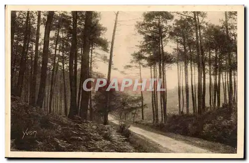Les Landes de Gascogne Cartes postales Route de Leon a Moliets