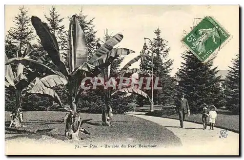 Pau Cartes postales Un coin du parc Beuamont (bananier banane)