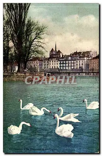 Suisse Geneve Cartes postales L&#39ile Rousseau et les cygnes
