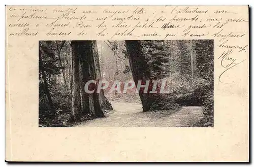 Cartes postales FAntaisie Arbres