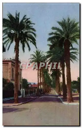 Hyeres les palmiers Cartes postales Avenue Costa de Beauregard