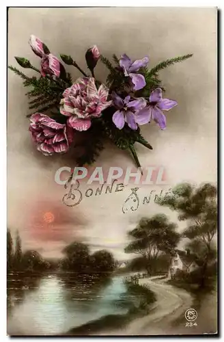 Cartes postales FAntaisie Bonne annee