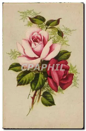 Cartes postales FAntaisie Fleurs