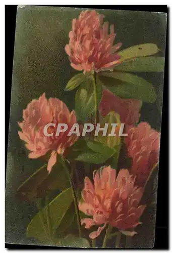 Cartes postales FAntaisie Fleurs