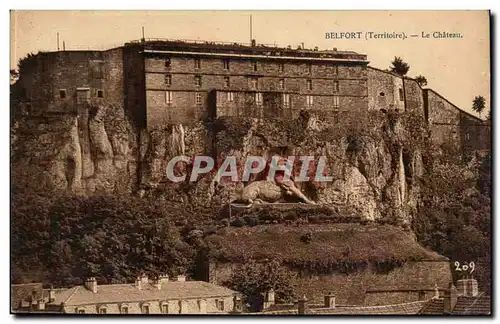 Belfort Cartes postales Le chateau (lion)