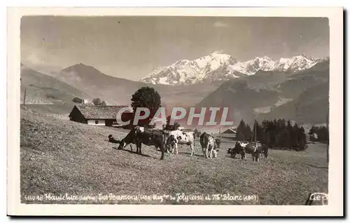 Cartes postales Haute Luce Vaches dans les paturages