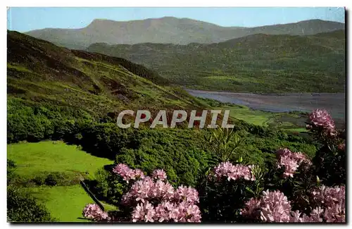 England - Angleterre- The Mawddach Estuary - Barmouth - Ansichtskarte AK