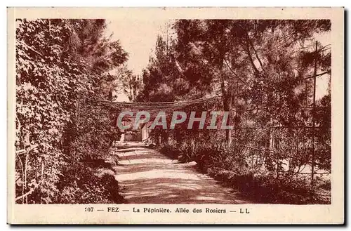 Afrique - Africa - Fez - Fes - Maroc - la Pepiniere Allee des Rosiers - Cartes postales