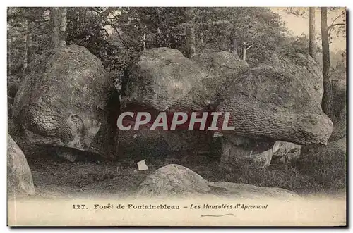 Foret de Fontainebleau Ansichtskarte AK Les mausolees d&#39Apremont