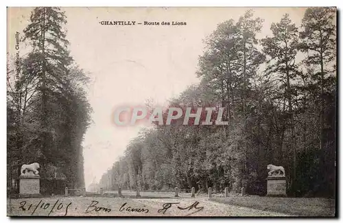 Chantilly - Route des Lions - Ansichtskarte AK