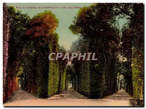 Chantilly - Paec du Chateau - Les Trois Allees - Cartes postales