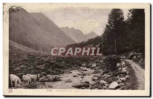 Cauterets - Dans le Val de Lotour - Cartes postales