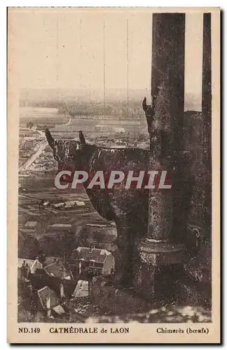 Laon - La Cathedrale - Cartes postales