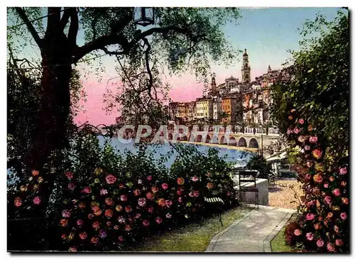 Menton Cartes postales La vieille ville a travers les oliviers