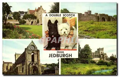 Grande Bretagne A double Scotch from Jedburgh Scotland Ecosse Moderne Karte