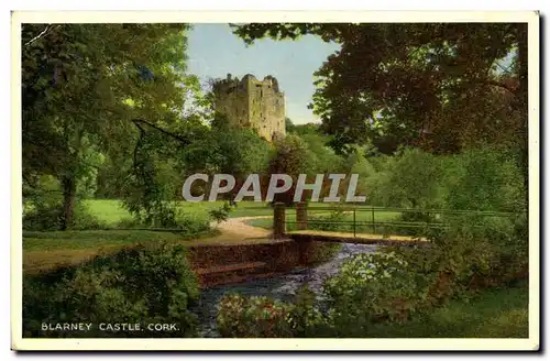Irland Ireland Cork Cartes postales moderne Blarney Castle