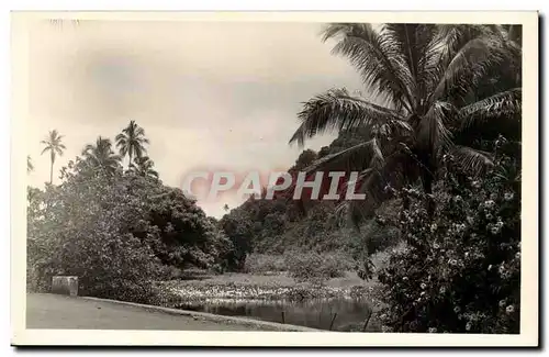CArte photo Antilles