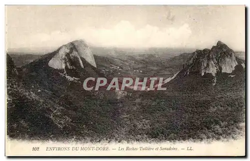 Auvergne Ansichtskarte AK Environs Mont Dore Les roches Tuliere et Sanadoire