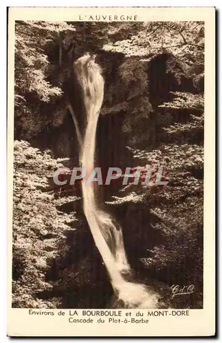 Environs de la Bourboule et du Mont Dore Ansichtskarte AK Cascade du Plat a Barbe