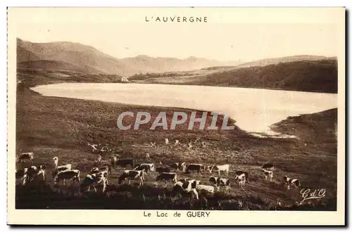 Auvergne Ansichtskarte AK Le lac de Guery (vaches)