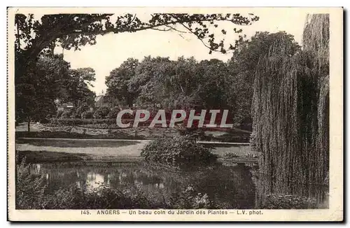 Angers Ansichtskarte AK Un beau coin du jardin des plantes