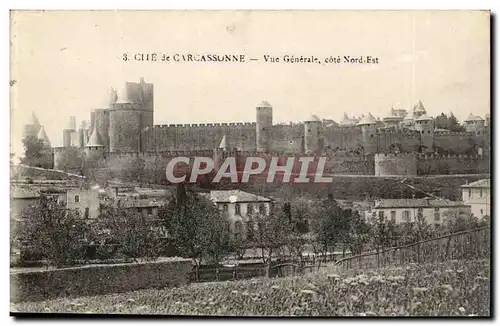 Cite de Carcassonne Ansichtskarte AK Vue generale cote Nord Est