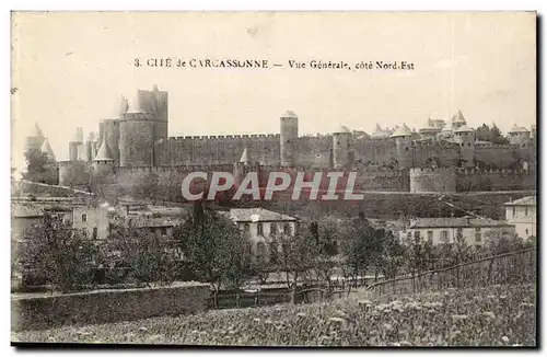 Cite de Carcassonne Cartes postales Vue generale cote Nord Est