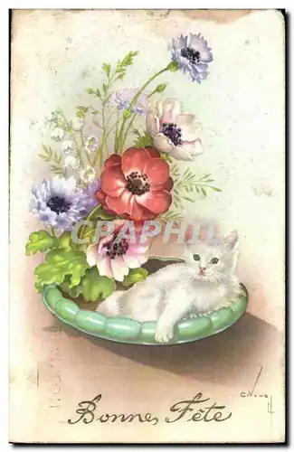 Cartes postales Fantaisie Bonne fete Chat (katze cat)