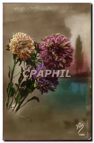 Cartes postales Fantaisie Fleurs