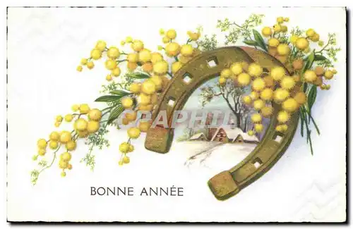 Cartes postales Fantaisie Bonne annee (fer a cheval)