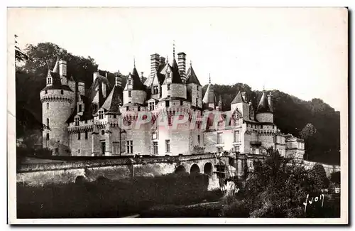 Rigny Usse- Le Chateau - Cartes postales