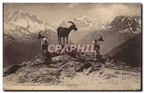 Sur les Sommets - Le Mont Blanc - Chevre - Cartes postales