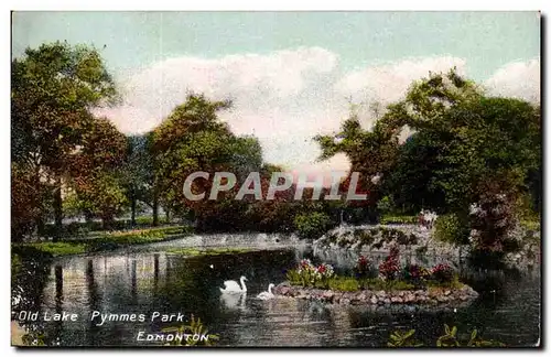Canada - Old Lake Pymmes Park Edmonton - Swimming Swan - Cartes postales