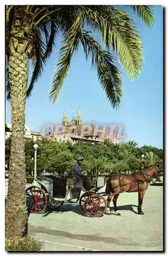 Espagne - Spain - Spanien - Mallorca palma - - Cartes postales