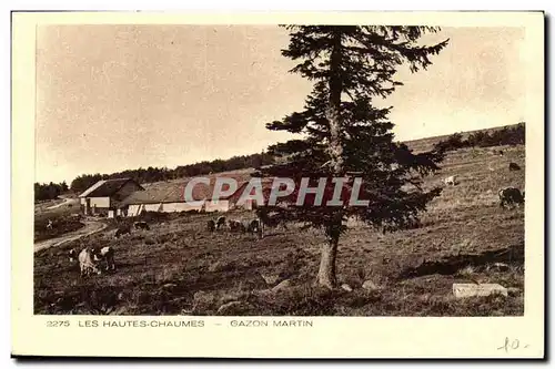 Les Hautes Chaumes - gazon martin - Cartes postales