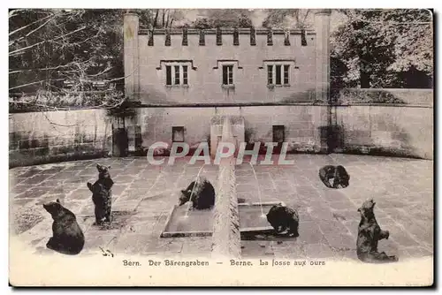 Suisse - Berne - Baerengraben La Fosse aux ours - Ansichtskarte AK