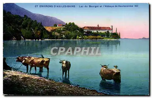 Aix lEs Bains - Lac du Bourget et l &#39Abbaye de Hautecombe - vache Cartes postales