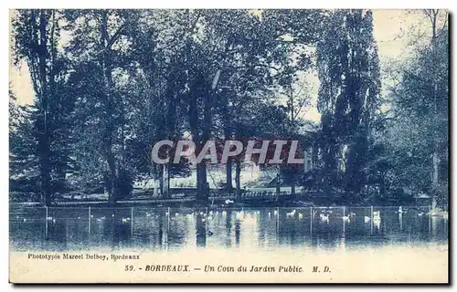 Bordeaux - Un Coin du Jardin Public - Ansichtskarte AK