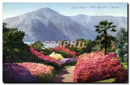 Lago di Como - Villa carlotta - Giardino Cartes postales