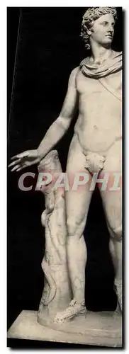 Roma Apollo Di Belvedere Museo Vaticano - Sculpture- Cartes postales