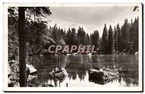 Assy Passy - Le Lac Vert et le Mont Blanc Cartes postales