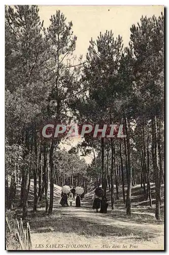 Les Sables d&#39Olonne - Allee dans les Pins - Cartes postales