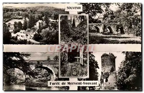 Foret de Mervent Vouvant - Souvenir - Cartes postales