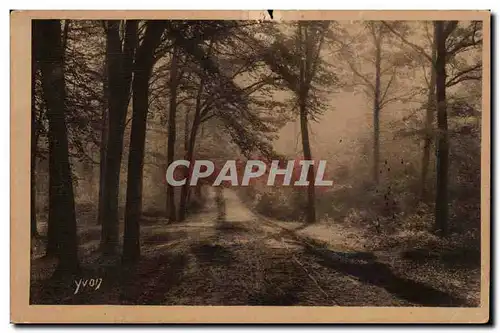 Chausse de l&#39etang de Trivaux qui conduit a l&#39Etang de Vilebon Foret de Mendon - Cartes postales