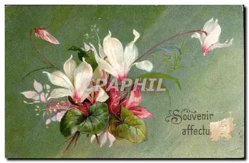 fantaisie - Fleurs - Souvenir - Cartes postales