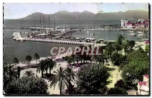 Cannes - Le Jardin Public - Cartes postales