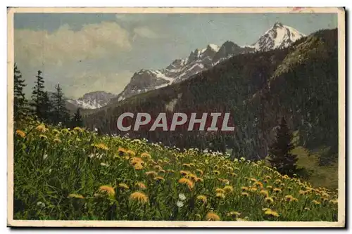 Suisse - Bern - Adeboden - Blumige Wiese - Cartes postales