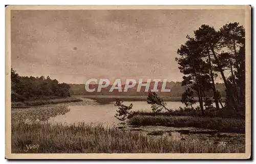 La Douce France Les Landes de Gascogne L&#39Etang des Moliets - Ansichtskarte AK